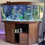 Gratis ter overname gezocht: Juwel Vision 450 kersenkleur, Dieren en Toebehoren, Ophalen, Zo goed als nieuw, Leeg aquarium
