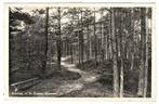 V-701  Emmen   Dennen, Verzenden, 1940 tot 1960, Gelopen, Drenthe