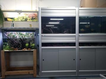 Aquariumsteling aquaja 260cm breed beschikbaar voor biedingen