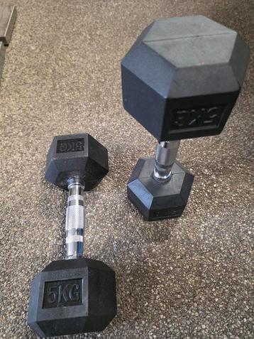 Set van 2 Dumbbells - 5kg beschikbaar voor biedingen