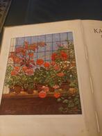 Plaatjesalbum kamerplanten 1928 volledig 10 euro, Ophalen of Verzenden, Zo goed als nieuw