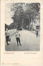 Hellevoetsluis, Brielsche Straatweg, Volk, gelopen 1902, Verzamelen, Verzenden, Voor 1920, Gelopen, Zuid-Holland
