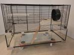 Hamster kooi 80x45x52 (cavia, muis, rat) zeer compleet, Kooi, Hamster, Zo goed als nieuw, Ophalen