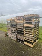 60 x pallets 80x60 kleine pallet houten hout lichtgewicht, Ophalen of Verzenden, Zo goed als nieuw