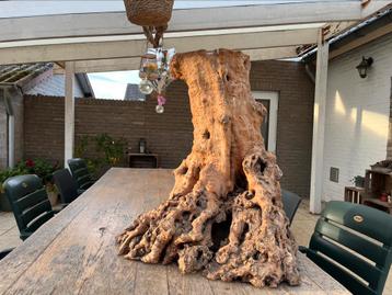 Boomstam bijzettafel olijf beschikbaar voor biedingen