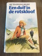 Ine ten Broeke-Bruins - Een duif in de rotskloof, Ophalen of Verzenden, Gelezen, Ine ten Broeke-Bru, Nederland