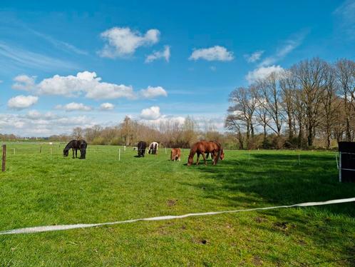 Stalling en Weidegang, Dieren en Toebehoren, Stalling en Weidegang, Stalling, Weidegang, 1 paard of pony