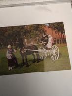 PAARD MET SJEES. 1978. FRIESLAND, Ophalen of Verzenden, 1960 tot 1980, Friesland