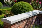 Nieuwe muurafdekkers - verschillende modellen en maten, Ophalen of Verzenden, Nieuw, Beton, Terrastegels
