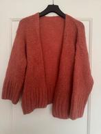 Heerlijk vestje - One Size, Ophalen of Verzenden, Zo goed als nieuw, Maat 38/40 (M), Bruin