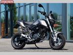 BENELLI TORNADO NAKED T (bj 2023), Bedrijf, 125 cc, 11 kW of minder, Minimaal motorrijbewijs A1