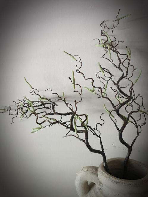 Kunst corylus contorta  - kronkel hazelaar, Huis en Inrichting, Woonaccessoires | Kunstplanten en Kunstbloemen, Nieuw, Ophalen of Verzenden