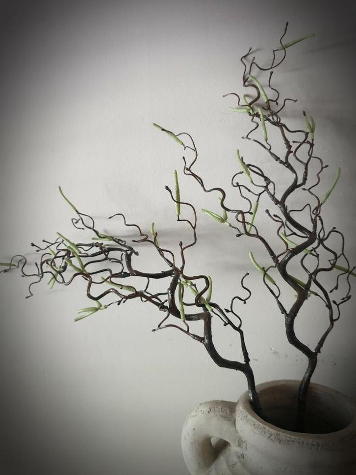 Kunst corylus contorta  - kronkel hazelaar, Huis en Inrichting, Woonaccessoires | Kunstplanten en Kunstbloemen, Nieuw, Ophalen of Verzenden