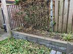 Gratis betonstenen, Tuin en Terras, Ophalen, Gebruikt, Overige typen, 10 m² of meer