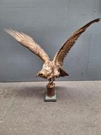 Opgezette Roofvogel, Ophalen