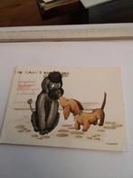 J. SCHERER. 1959.   HONDEN, Ophalen of Verzenden, 1940 tot 1960, Overige thema's