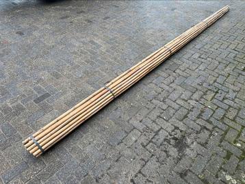 Bamboestokken 520cm x 28/30 mm Ø | 25 stuks per bundel €50,-