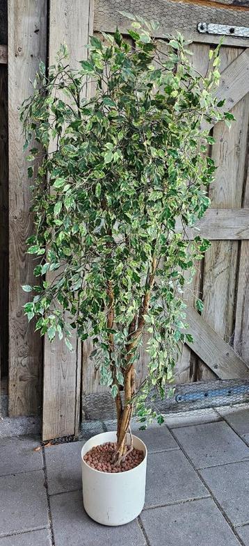 Kunstplant, kunstboom met plantenbak, hoogte ca. 150 cm beschikbaar voor biedingen