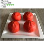 Div decoratie nep groente en fruit DEEL 5, Ophalen, Nieuw