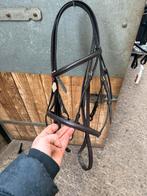 NIEUW hoofstel, Dieren en Toebehoren, Ophalen of Verzenden, Nieuw, Dressuur