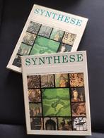 Boek Synthese - over zuid Limburg, Gelezen, DSM, Limburg, Ophalen of Verzenden