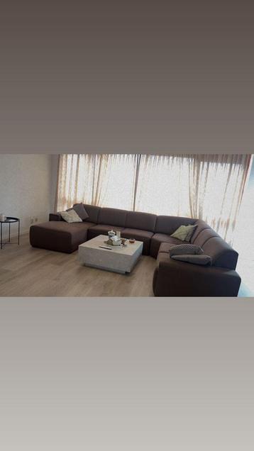 MOOIE BRUINE BANK MAG GRATIS WEG!