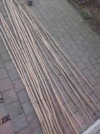 Bamboestokken - Ideaal voor tuin & decoratie, Ophalen of Verzenden, Gebruikt, Bamboe