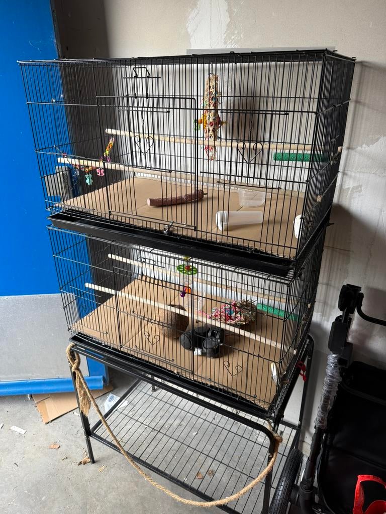 Dubbele vogelkooi agapornis parkiet kanierie, Dieren en Toebehoren, Knaagdieren en Konijnen | Hokken en Kooien, Minder dan 60 cm