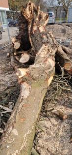 Gratis openhaardhout, Tuin en Terras, Minder dan 3 m³, Ophalen of Verzenden