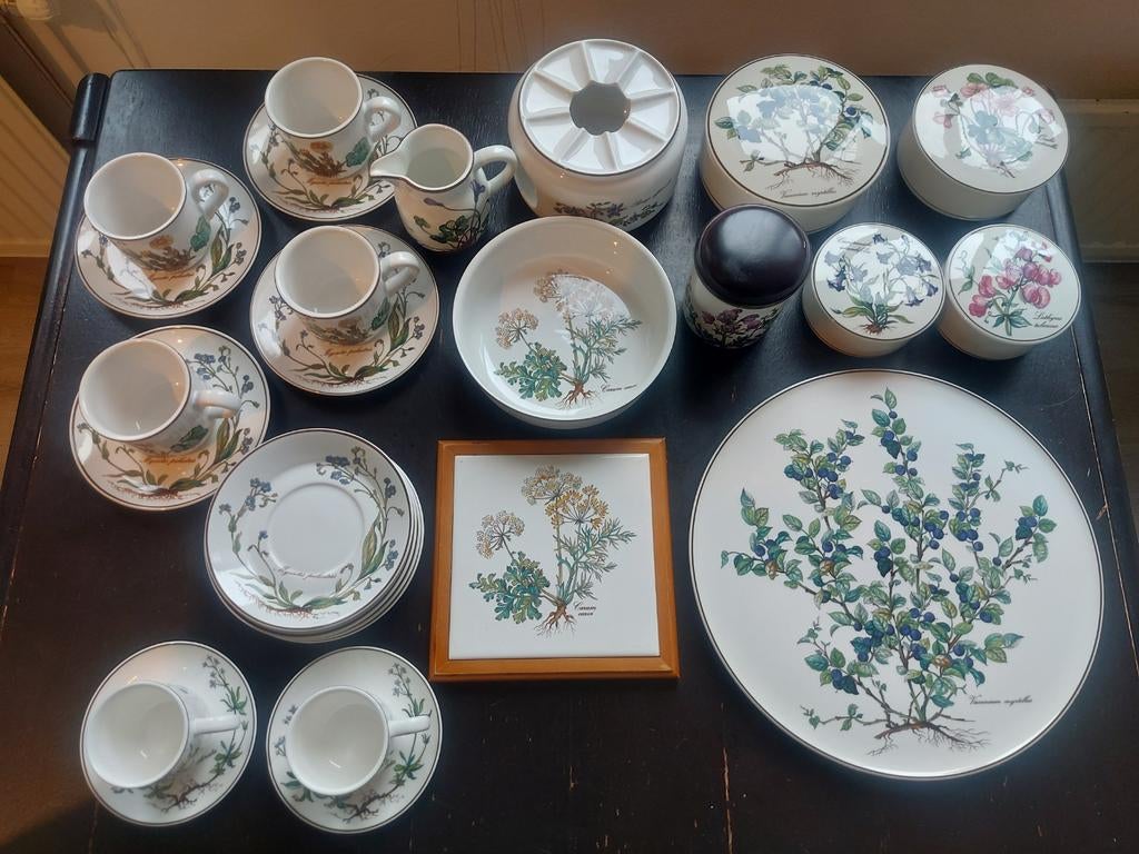 Ophalen - Botanica Villeroy & Boch alles samen 80 euro, Ophalen