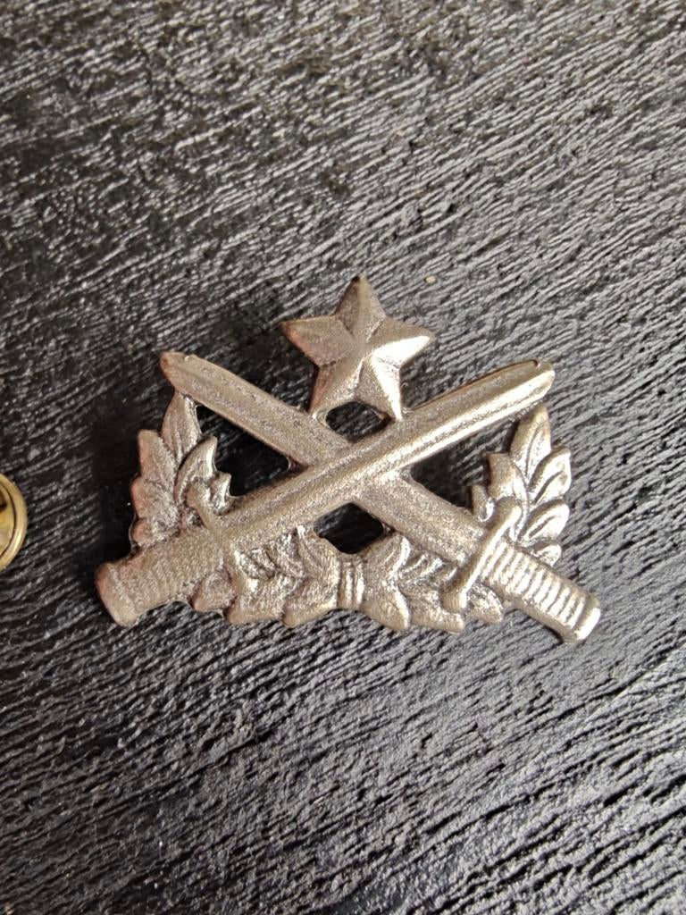 ARVN REPUBLIC OF VIETNAM RANGER BADGE, Ophalen of Verzenden, Overige materialen, Overige merken