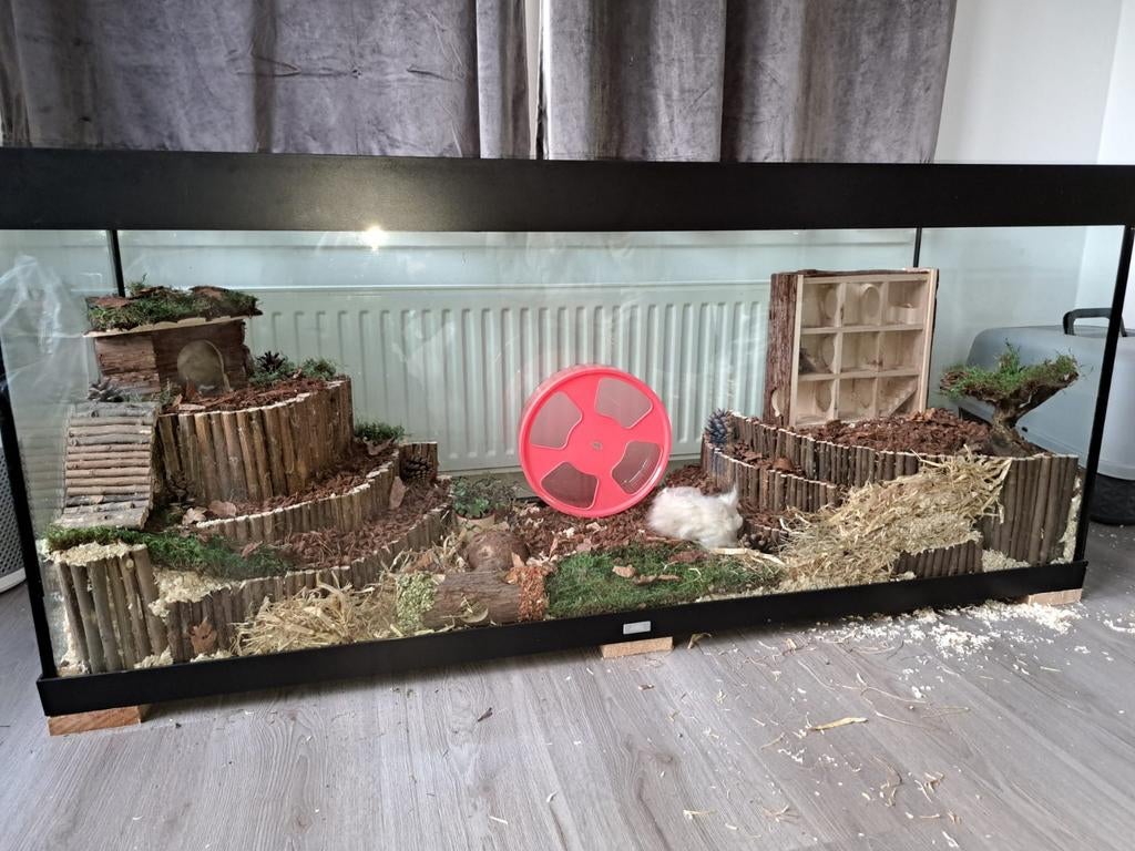 Terrarium, Dieren en Toebehoren, Reptielen en Amfibieën | Toebehoren, Ophalen