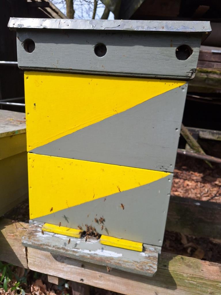 Bijenvolk met kast, Dieren en Toebehoren, Bijen