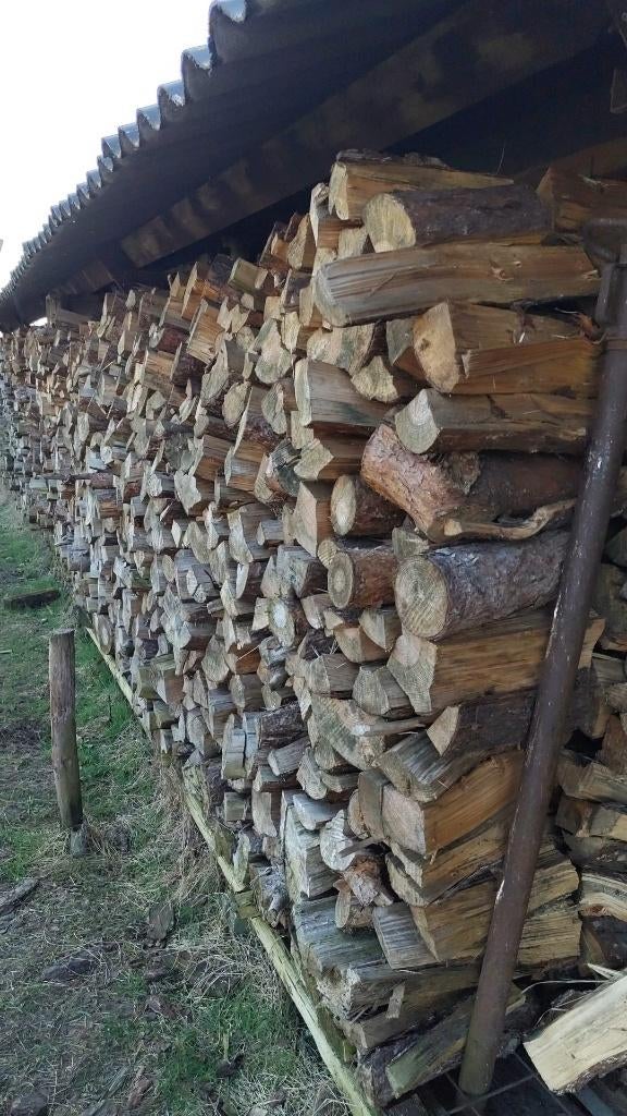 Haardhout, Corsicaanse den gekloofd en een jaar gedroogd., Tuin en Terras, Haardhout, 6 m³ of meer, Ophalen, Overige houtsoorten