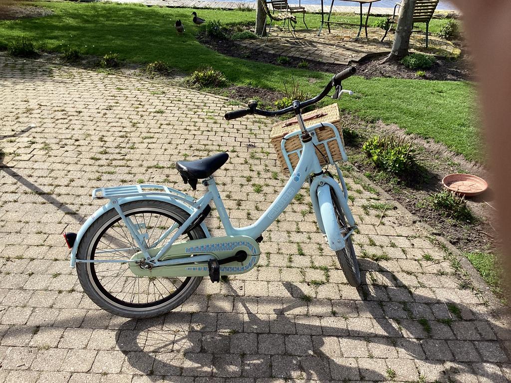 Meisjesfiets, Ophalen of Verzenden, Gebruikt, 20 inch of meer