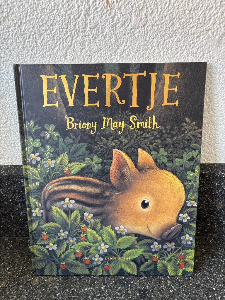 Kinderboek: Evertje (Lemniscaat) Briony May Smith, 3 tot 4 jaar, Briony May Smith, Ophalen of Verzenden, Zo goed als nieuw