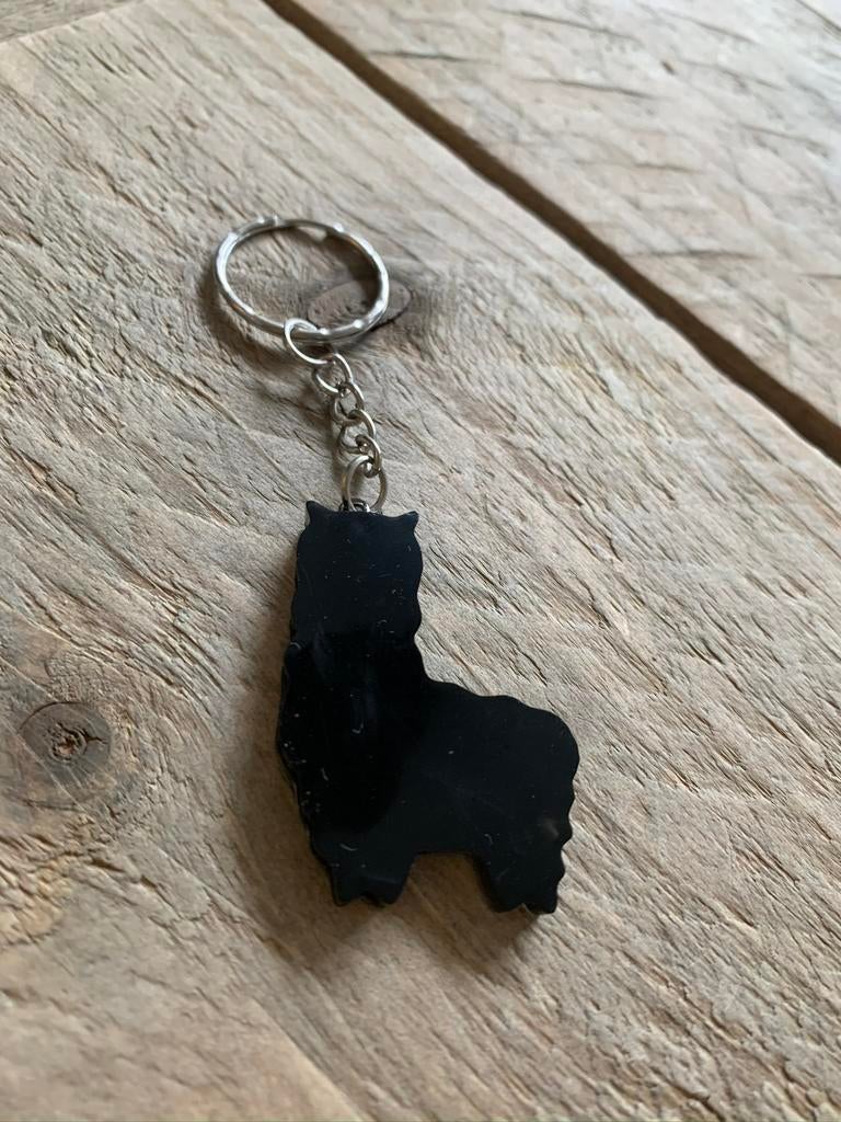 Alpaca’s, Ophalen of Verzenden, Nieuw, Dier of Natuur