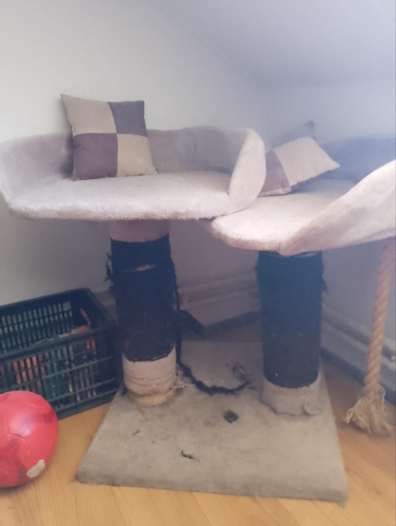 Katten Krabpaal, Dieren en Toebehoren, Ophalen, Krabpaal