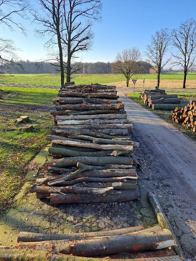Eikenhout,Brandhout,Stamhout,Boomstammen,Eikenstammen,Loofh, 6 m³ of meer, Ophalen of Verzenden, Eikenhout, Stammen