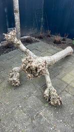 Gratis af te halen boomstronk, Tuin en Terras, Minder dan 3 m³, Ophalen