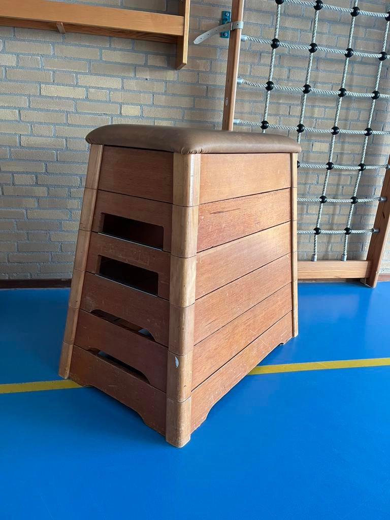 Gymkast vintage., Ophalen