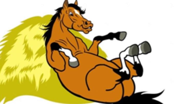 Stalling gezocht, Dieren en Toebehoren, Stalling en Weidegang, Weidegang