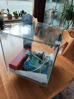 Compleet Qubiq aquarium 30 x30 te koop, Ophalen, Gebruikt, Leeg aquarium