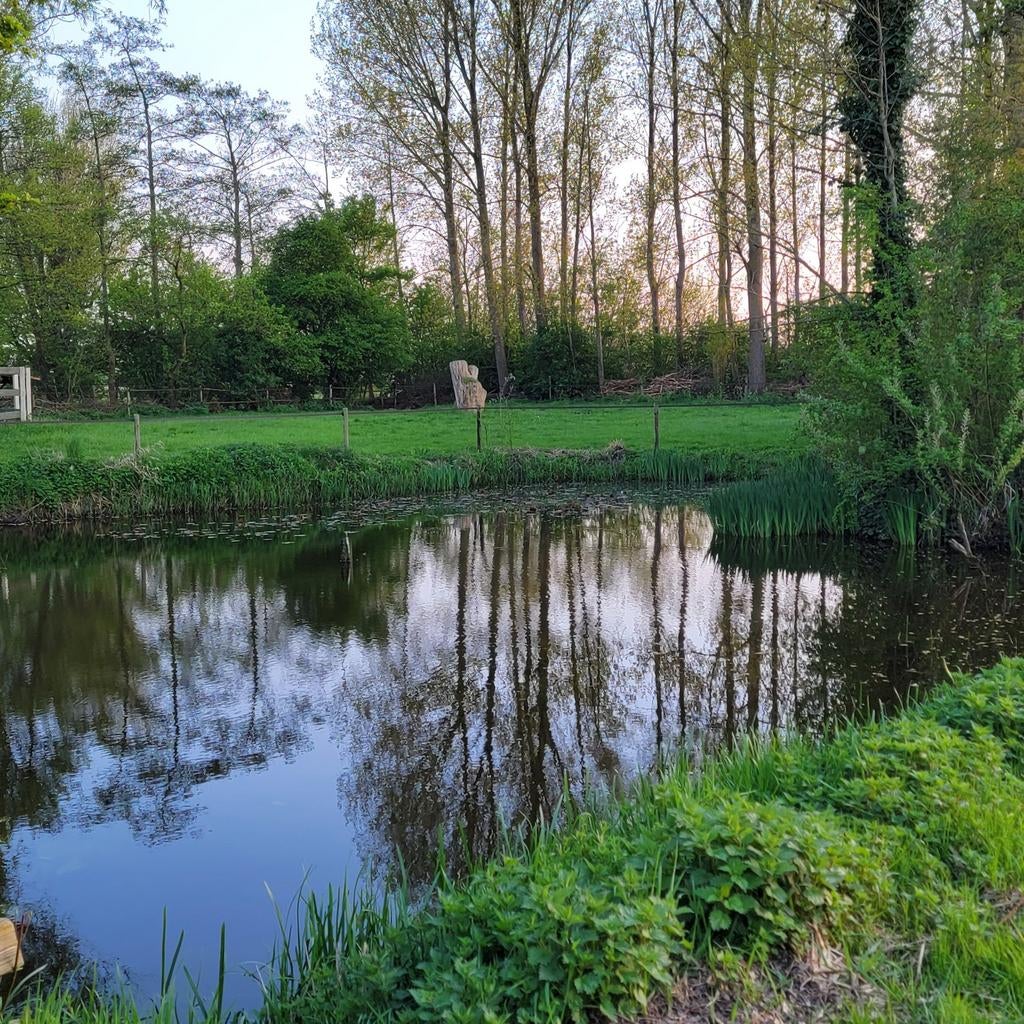 Weide voor inscharen jonge paarden