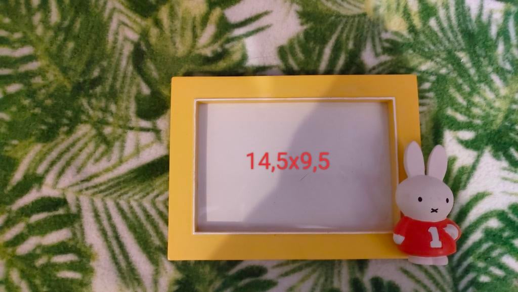 Fotolijst nijntje, Ophalen of Verzenden, Zo goed als nieuw, Overige typen