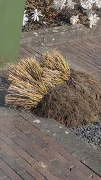 GRATIS, Ophalen, Overige typen