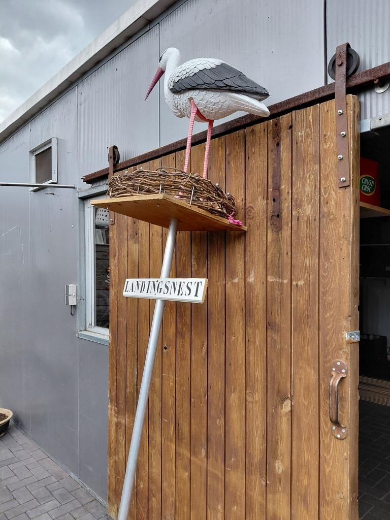 Ooiervaarsnest, Ophalen of Verzenden