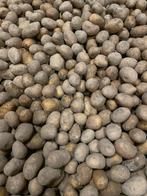 Pootaardappelen Agria - 1kg (ca. 30 stuks), Ophalen of Verzenden