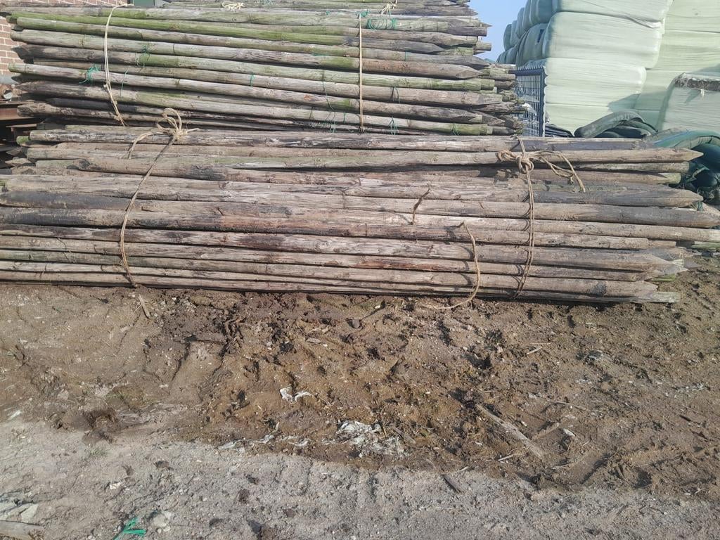 Palen 3 meter lang, Ophalen of Verzenden, 250 cm of meer, Palen