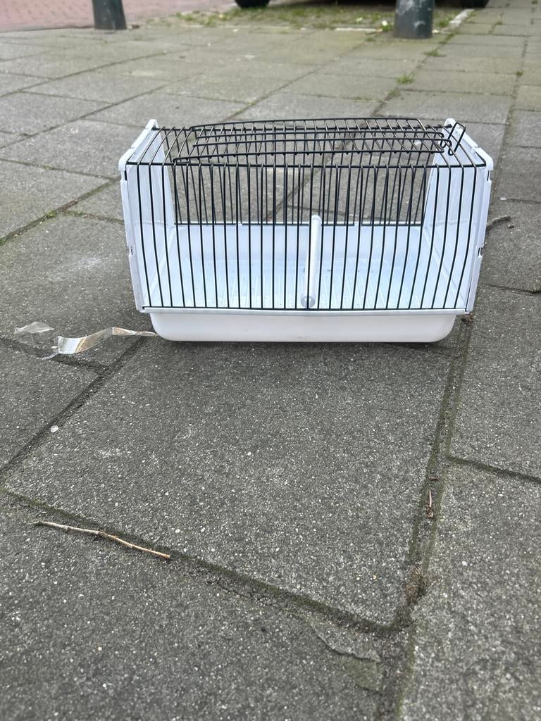 Transportkooi, Dieren en Toebehoren, Ophalen